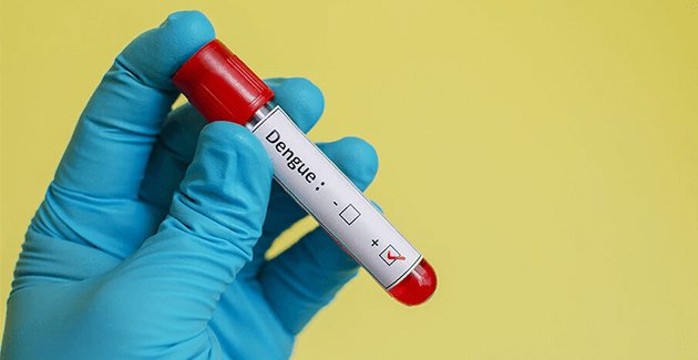 Read How Diseases are transmitted by Mosquitoes