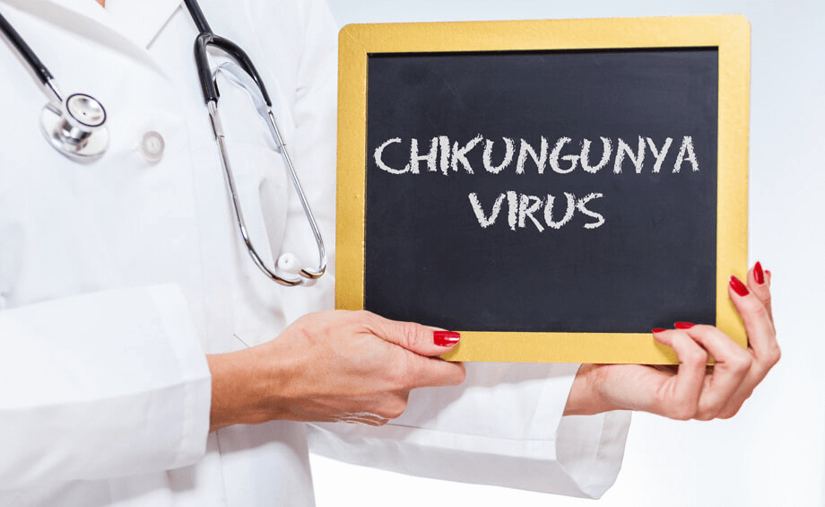 Chikungunya FAQs