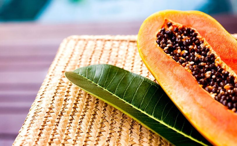 Papaya Leaf Juice Recipe to Cure Dengue