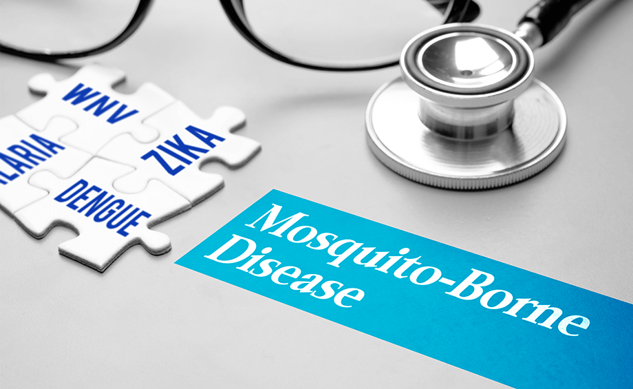 Treatment to cure Mosquito-borned Diseases