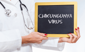 Chikungunya FAQs