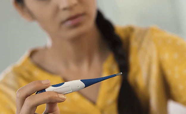 Know about Mosquito Borne Diseases - Good knight Blog