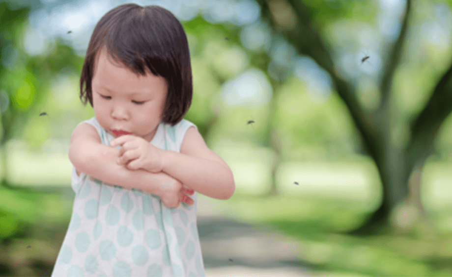 5 Most common places where you would need to protect your child from mosquito bites - Goodknight Blog