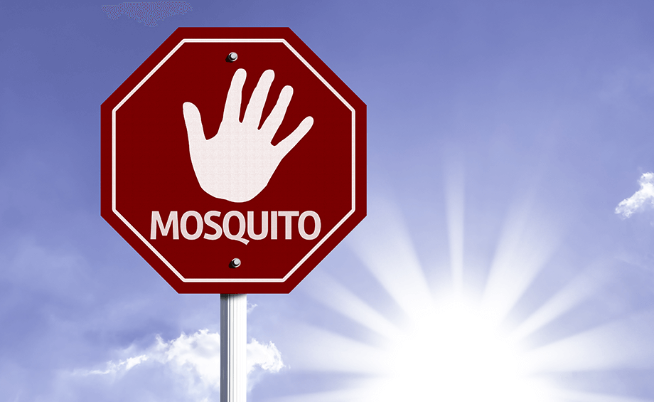 mosquito control - Goodknight