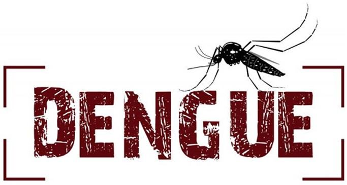 Differentiation, Diagnosis, and Treatment of various types of Dengue Fever