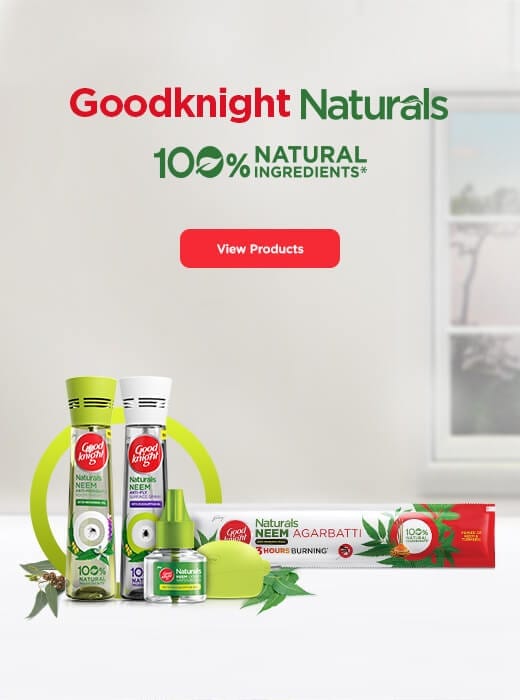 top ten mosquito repellent